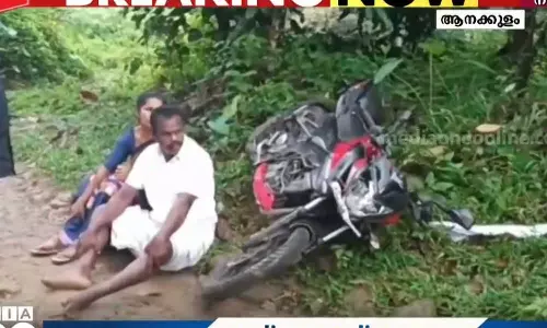 ഇടുക്കിയില്‍ ബൈക്കിൽ സഞ്ചരിച്ച ദമ്പതികൾക്കുനേരെ കാട്ടാനയുടെ ആക്രമണം