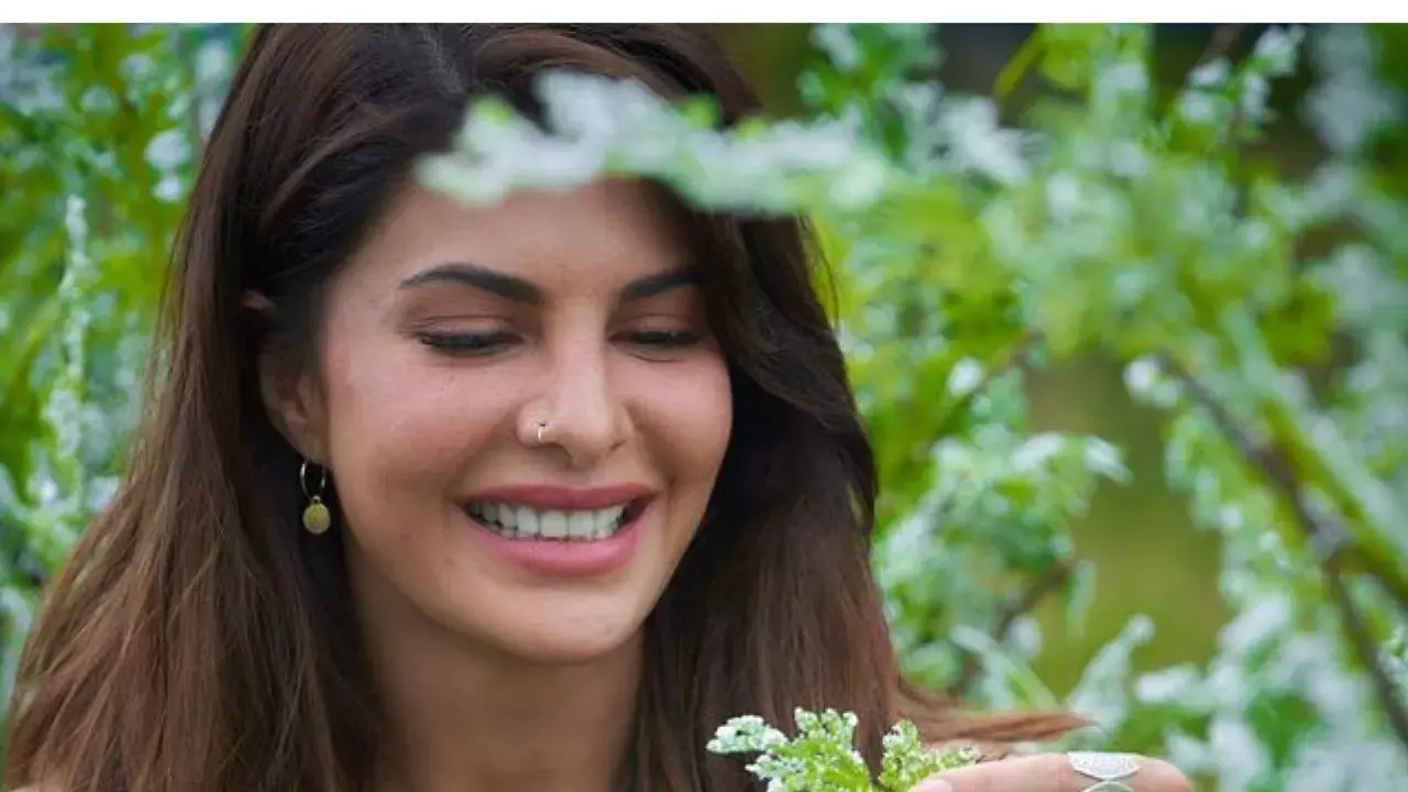 200 കോടി രൂപയുടെ കള്ളപ്പണം വെളുപ്പിക്കൽ കേസ്;  ജാക്വിലിൻ ഫെർണാണ്ടസിന് ജാമ്യം