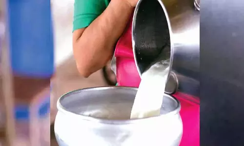 ഇൻസന്റീവ് വിതരണം പ്രഖ്യാപനത്തിലൊതുങ്ങി; ക്ഷീര കർഷകർ പ്രതിസന്ധിയിൽ ഇൻസന്റീവ് വിതരണം പ്രഖ്യാപനത്തിലൊതുങ്ങി; ക്ഷീര കർഷകർ പ്രതിസന്ധിയിൽ