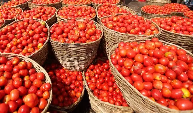 തക്കാളിയുടെ വിലയിടിഞ്ഞു;  ലോഡ് കണക്കിന് തക്കാളി  കേരള-തമിഴ്നാട് അതിര്‍ത്തിയില്‍ ഉപേക്ഷിച്ച് കര്‍ഷകര്‍
