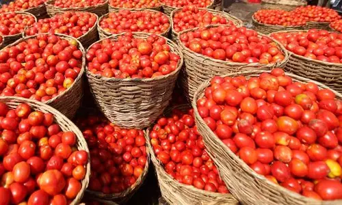 തക്കാളിയുടെ വിലയിടിഞ്ഞു;  ലോഡ് കണക്കിന് തക്കാളി  കേരള-തമിഴ്നാട് അതിര്‍ത്തിയില്‍ ഉപേക്ഷിച്ച് കര്‍ഷകര്‍
