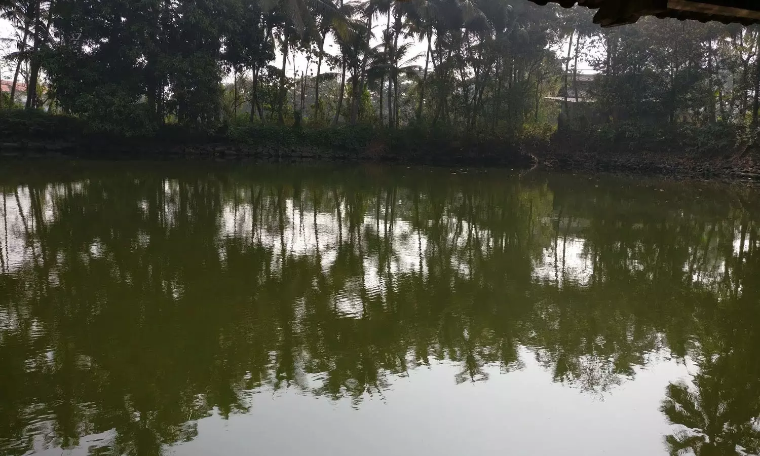 ഇടുക്കിയിൽ പഞ്ചായത്ത് കുളത്തിൽ മൃതദേഹം കണ്ടെത്തി ഇടുക്കിയിൽ പഞ്ചായത്ത് കുളത്തിൽ മൃതദേഹം കണ്ടെത്തി