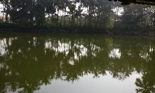 ഇടുക്കിയിൽ പഞ്ചായത്ത് കുളത്തിൽ മൃതദേഹം കണ്ടെത്തി