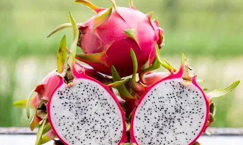 ആരോഗ്യഗുണങ്ങളറിഞ്ഞ് കഴിക്കാം ഡ്രാഗൺ ഫ്രൂട്ട്