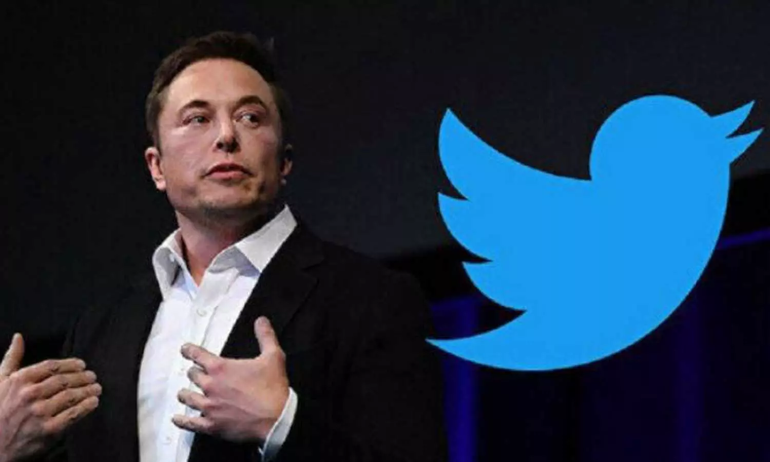 കൂട്ടപ്പിരിച്ചുവിടലിന് ഇടവേള; ഇന്ത്യയിൽ നിന്നുള്ള എഞ്ചിനീയർമാരെ നിയമിക്കാൻ ഇലോൺ മസ്ക് കൂട്ടപ്പിരിച്ചുവിടലിന് ഇടവേള; ഇന്ത്യയിൽ നിന്നുള്ള എഞ്ചിനീയർമാരെ നിയമിക്കാൻ ഇലോൺ മസ്ക്