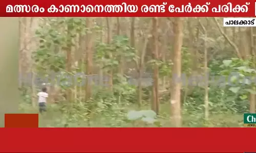 പാലക്കാട് കാളപൂട്ട് മത്സരത്തിനിടെ കാട്ടാനാക്രമണം; രണ്ട് പേർക്ക് പരിക്ക്