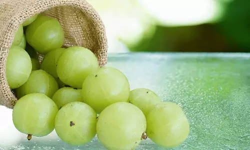 കയ്ച്ചാലും മധുരിച്ചാലും ഗുണങ്ങളേറെ; കരളിനെ കാക്കും, കൊളസ്‌ട്രോൾ കുറയ്ക്കും