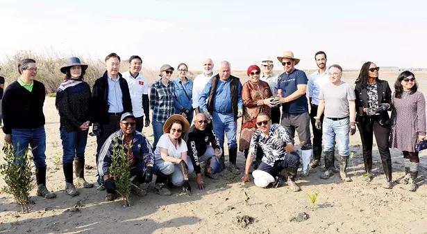 യു.എ.ഇ എംബസി കുവൈത്തിന് 200 കണ്ടൽത്തൈകൾ സമ്മാനിച്ചു യു.എ.ഇ എംബസി കുവൈത്തിന് 200 കണ്ടൽത്തൈകൾ സമ്മാനിച്ചു