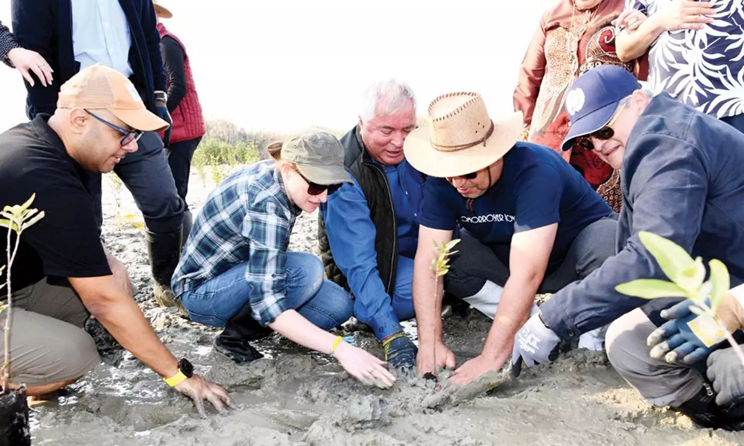 കുവൈത്തിന് 200 കണ്ടൽത്തൈകൾ നൽകി യു.എ.ഇ എംബസി