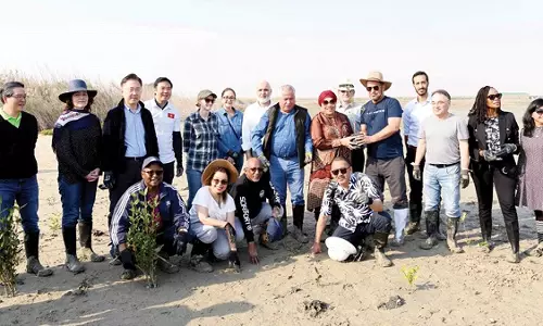 യു.എ.ഇ എംബസി കുവൈത്തിന് 200 കണ്ടൽത്തൈകൾ സമ്മാനിച്ചു