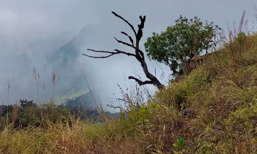 കുടജാദ്രി പുണരുമ്പോള്‍