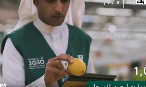 സൗദിയിൽ ഫീൽഡ് പരിശോധനയിൽ ആയിരത്തോളം സ്ഥാപനങ്ങൾ അടപ്പിച്ചു