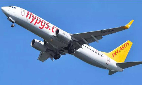 യാത്രക്കിടെ പ്രസവവേദന അഭിനയിച്ച് വിമാനം അടിയന്തരമായി ഇറക്കി; 28 യാത്രക്കാർ ഓടി രക്ഷപ്പെട്ടു