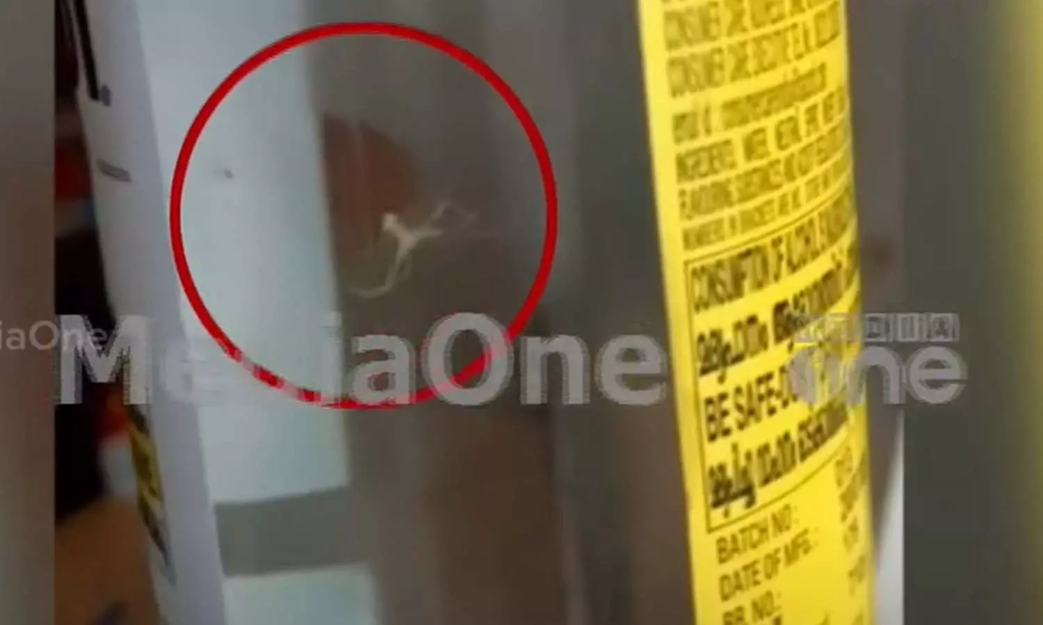 തിരുവനന്തപുരത്തെ ബിവറേജസ് ഔട്ട്ലെറ്റിലെ മദ്യക്കുപ്പിയിൽ എട്ടുകാലി