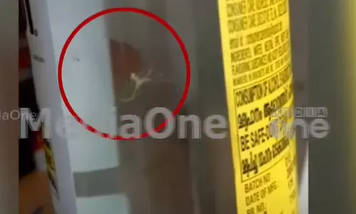 തിരുവനന്തപുരത്തെ ബിവറേജസ് ഔട്ട്ലെറ്റിലെ മദ്യക്കുപ്പിയിൽ എട്ടുകാലി