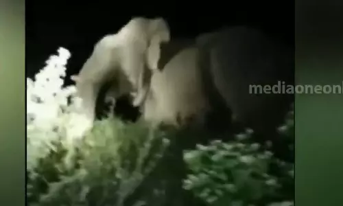 അട്ടപ്പാടിയിലെ ജനവാസ മേഖലയിൽ വീണ്ടും ഒറ്റയാൻ ഇറങ്ങി