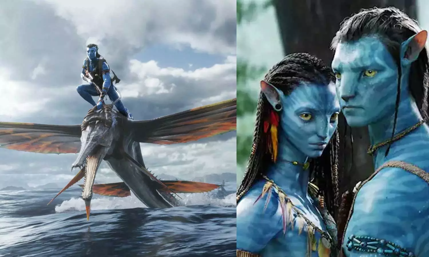 വിസ്മയിപ്പിക്കാൻ അവതാർ ദ വേ ഓഫ് വാട്ടർ; ടിക്കറ്റ് ബുക്കിങ്ങിൽ റെക്കോർഡ് നേട്ടം