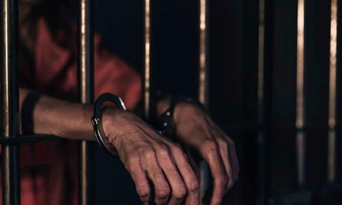 ബീഫാണെന്ന് സംശയിക്കുന്ന മാംസം കടത്തി; മധ്യപ്രദേശിൽ ഓട്ടോ ഡ്രൈവർ അറസ്റ്റിൽ