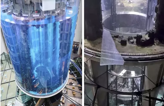 ബെര്‍ലിനിലെ കൂറ്റന്‍ അക്വേറിയം തകര്‍ന്നു; 1500 ഓളം മത്സ്യങ്ങള്‍ റോഡില്‍