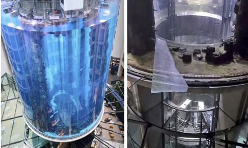 ബെര്‍ലിനിലെ കൂറ്റന്‍ അക്വേറിയം തകര്‍ന്നു; 1500 ഓളം മത്സ്യങ്ങള്‍ റോഡില്‍