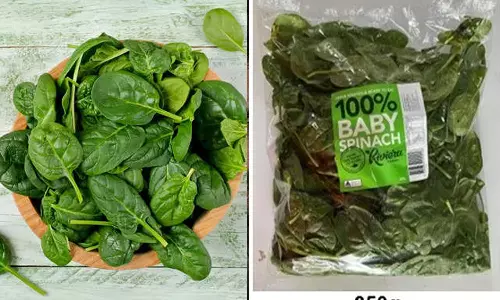 ചീര കഴിച്ച് ദേഹാസ്വാസ്ഥ്യം; ആസ്‌ത്രേലിയയിൽ വിവിധയിടങ്ങളിലായി നിരവധിപേർ ആശുപത്രിയിൽ