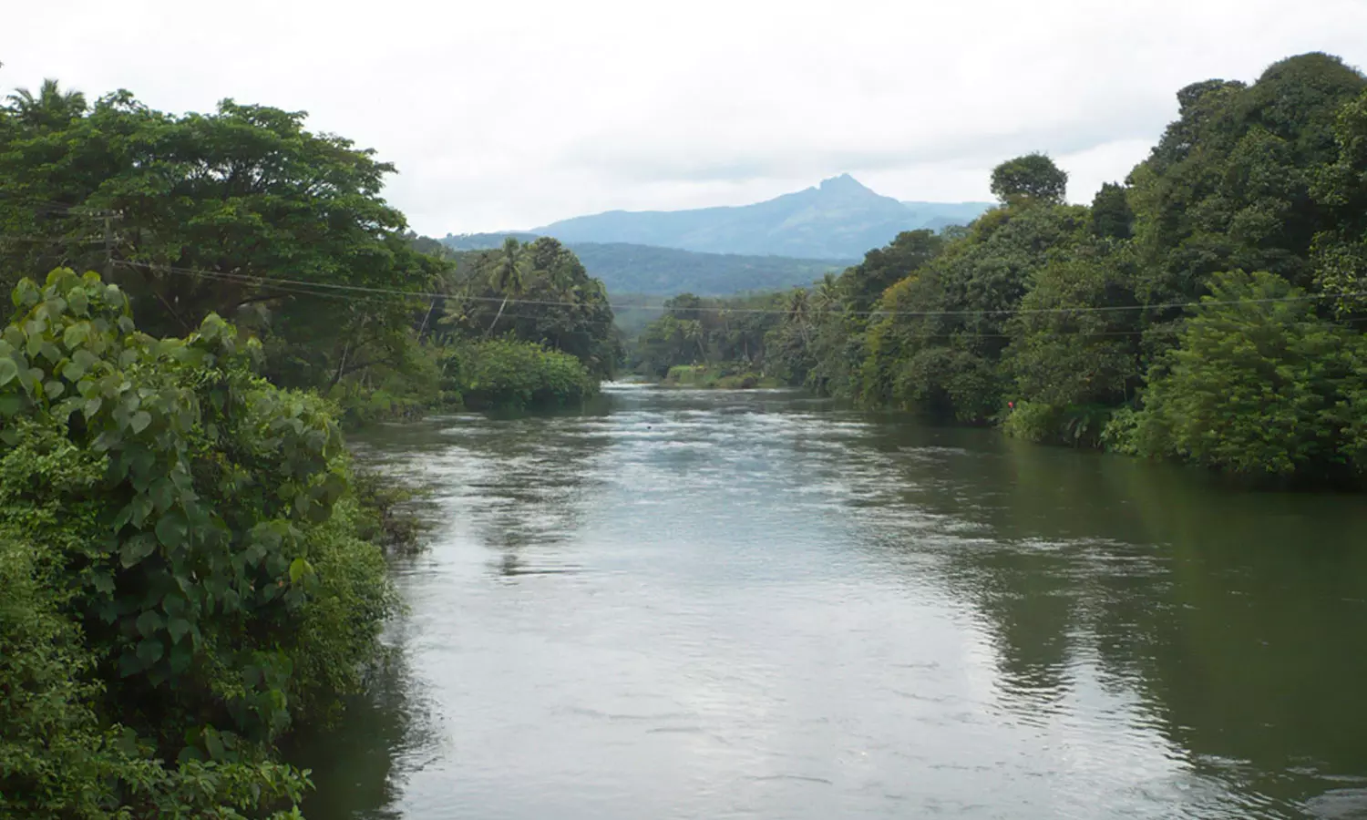 കോട്ടയം പാദുവയിൽ തോട്ടിൽ കുളിക്കാനിറങ്ങിയ രണ്ടു വിദ്യാർഥികൾ മുങ്ങി മരിച്ചു കോട്ടയം പാദുവയിൽ തോട്ടിൽ കുളിക്കാനിറങ്ങിയ രണ്ടു വിദ്യാർഥികൾ മുങ്ങി മരിച്ചു