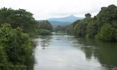 കോട്ടയം പാദുവയിൽ തോട്ടിൽ കുളിക്കാനിറങ്ങിയ രണ്ടു വിദ്യാർഥികൾ മുങ്ങി മരിച്ചു കോട്ടയം പാദുവയിൽ തോട്ടിൽ കുളിക്കാനിറങ്ങിയ രണ്ടു വിദ്യാർഥികൾ മുങ്ങി മരിച്ചു