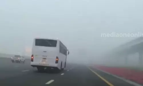 നടപടികൾ വിജയം കണ്ടു; യുഎഇയിൽ റോഡപകടങ്ങൾ കുറഞ്ഞതായി പഠനം