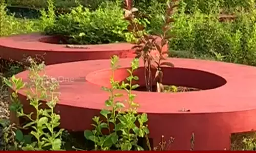 ഒന്നര കോടി രൂപ ചെലവഴിച്ചു നിർമിച്ച വഴിയോര വിശ്രമ കേന്ദ്രവും പാർക്കും കാടുകയറി നശിക്കുന്നു