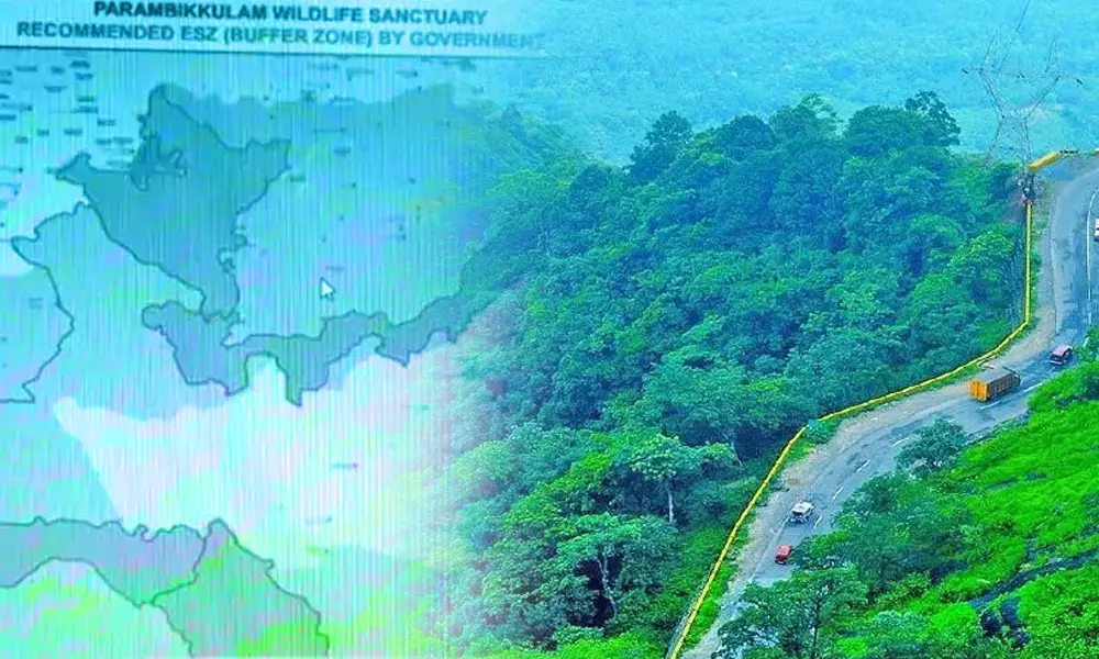 ബഫര്സോണ്: കര്ഷകരെ ഒഴിവാക്കികൊണ്ടുള്ള വനവത്കരണ ഗൂഢാലോചനയാണ് നടക്കുന്നത് - കെ.ജെ ദേവസ്യ ബഫര്സോണ്: കര്ഷകരെ ഒഴിവാക്കികൊണ്ടുള്ള വനവത്കരണ ഗൂഢാലോചനയാണ് നടക്കുന്നത് - കെ.ജെ ദേവസ്യ