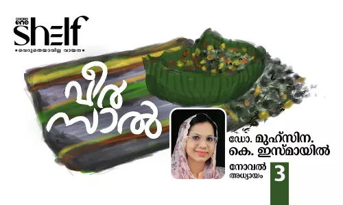 വീര്സാല്: നോവല് | അധ്യായം: 03 | ഡോ. മുഹ്സിന കെ. ഇസ്മായില് വീര്സാല്: നോവല് | അധ്യായം: 03 | ഡോ. മുഹ്സിന കെ. ഇസ്മായില്