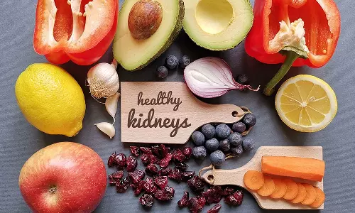 വൃക്കയുടെ ആരോഗ്യത്തിന് എന്തൊക്കെ കഴിക്കണം? അറിയാം...