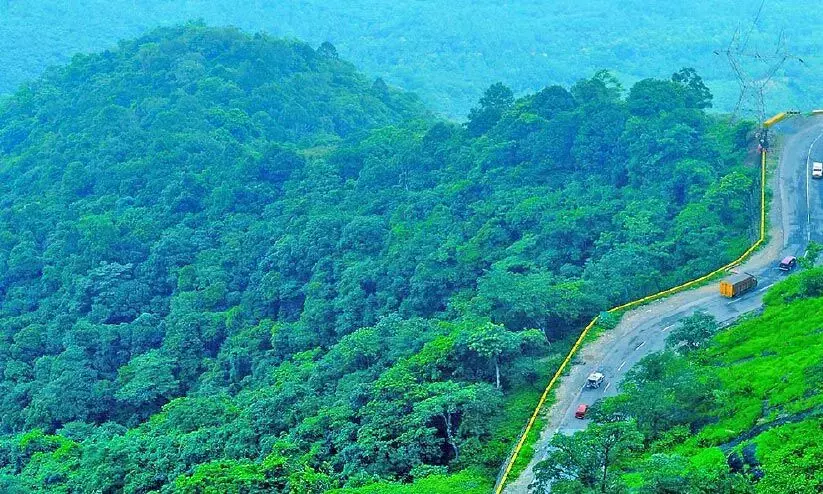 ക്രിസ്മസ് ആഘോഷവും ബഫർ സോണിനെതിരായ പ്രതിഷേധമാക്കി പുൽപ്പള്ളിയിൽ ഒരു ഇടവക ക്രിസ്മസ് ആഘോഷവും ബഫർ സോണിനെതിരായ പ്രതിഷേധമാക്കി പുൽപ്പള്ളിയിൽ ഒരു ഇടവക