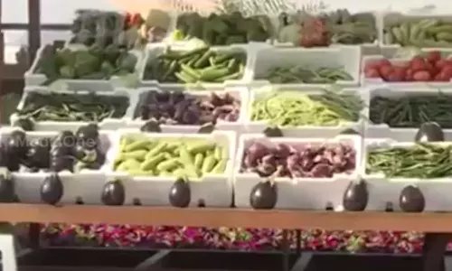 ദേശീയ ഭക്ഷ്യസുരക്ഷാ നയത്തിന്റെ രണ്ടാം പതിപ്പിന് തുടക്കമിട്ട് ഖത്തര്‍