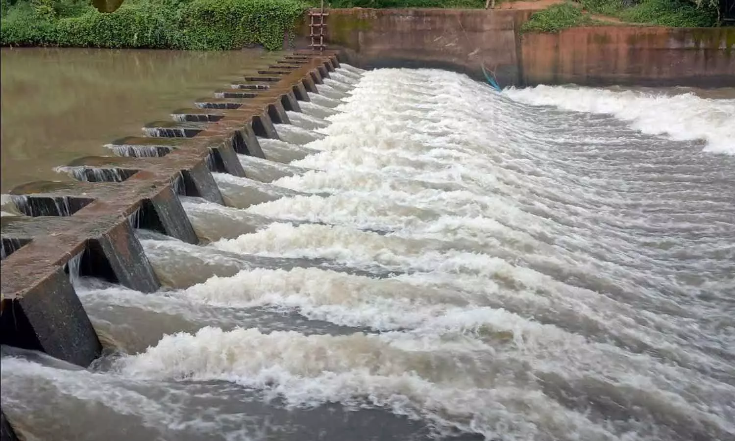 സംസ്ഥാനത്ത് ജല വൈദ്യുത പദ്ധതികൾക്കുള്ള തടസ്സങ്ങൾ നീങ്ങുന്നു; വനം വകുപ്പ് അനുമതി വേഗത്തിലാക്കാൻ ധാരണ