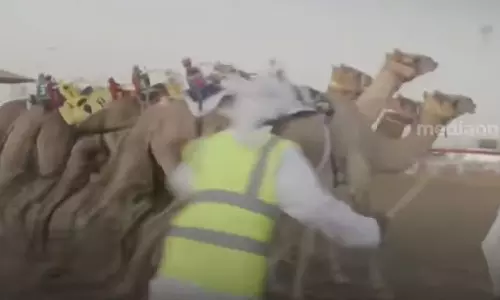 ഒട്ടകങ്ങളെ കുറിച്ച് ഡോക്യുമെന്റ്റി ഒരുക്കി യുഎഇ; തനത് സംസ്കാരവും ഒട്ടകയോട്ടവും പ്രമേയം ഒട്ടകങ്ങളെ കുറിച്ച് ഡോക്യുമെന്റ്റി ഒരുക്കി യുഎഇ; തനത് സംസ്കാരവും ഒട്ടകയോട്ടവും പ്രമേയം