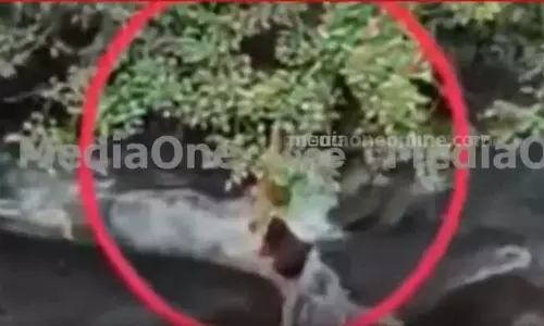 കുറ്റാലം വെള്ളച്ചാട്ടത്തിൽ ഒഴുക്കിൽപ്പെട്ട നാലുവയസുകാരിയെ അത്ഭുതകരമായി രക്ഷപ്പെടുത്തി