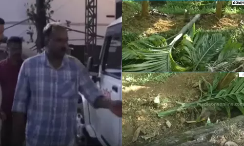 കവുങ്ങ് തൈകൾ വെട്ടി നശിപ്പിച്ച സംഭവം; മൂന്ന് സി.പി.എം പ്രവർത്തകർ പിടിയിൽ