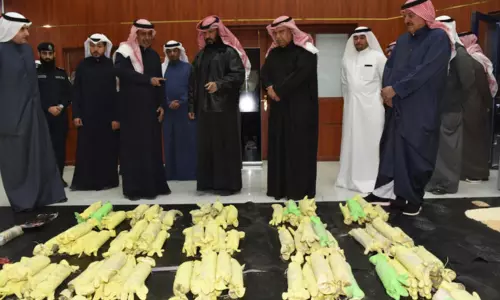 കുവൈത്തില്‍ വന്‍ ലഹരിവേട്ട: 250 കിലോ ഹാഷിഷ്, 104 കിലോ ഷാബു എന്നിവ പിടികൂടി