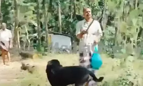 വളർത്തുനായയുമായെത്തി വടിവാളുവീശി യുവാവിന്റെ പരാക്രമം; നിഷ്‌ക്രിയരായി പൊലീസ്