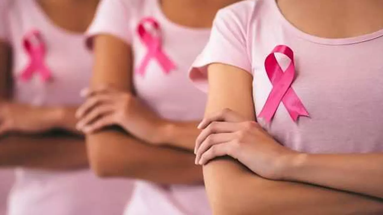 സ്തനാർബുദ സാധ്യത തടയാൻ ഈ ഭക്ഷണങ്ങൾ നിങ്ങളെ സഹായിക്കും