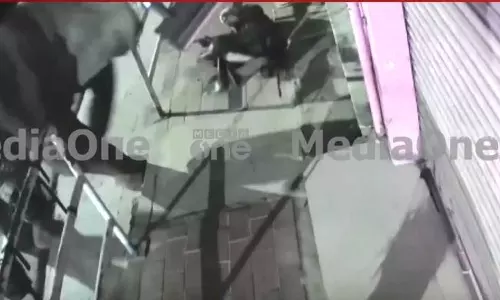 റോഡിൽ നിന്നയാളെ എടുത്തെറിഞ്ഞ് കാട്ടാന; സി.സി.ടി.വി ദൃശ്യങ്ങൾ പുറത്ത്