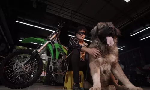 പൊന്നിനെക്കാള്‍ വിലയുള്ള നായ; 20 കോടിക്ക് നായയെ വാങ്ങി ബെംഗളൂരു യുവാവ്