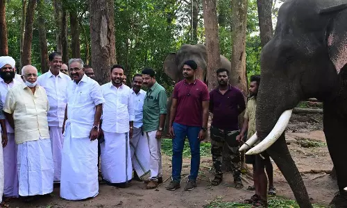 ധോണിയിലെ പി.ടി സെവൻ കാട്ടാനയെ ഉടൻ പിടികൂടുമെന്ന് മന്ത്രി എ.കെ ശശീന്ദ്രൻ