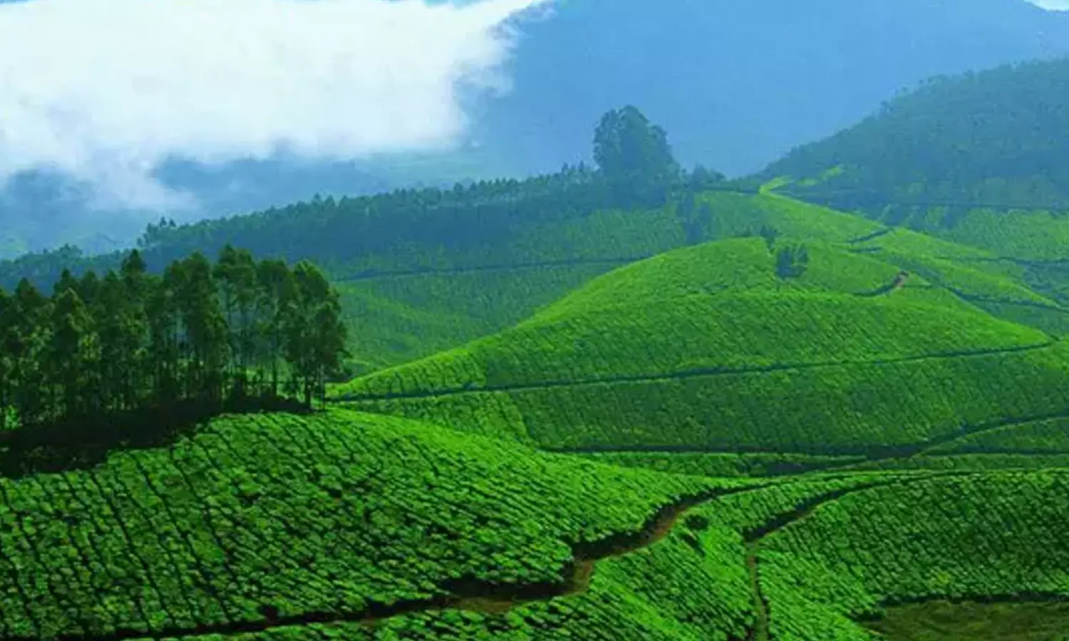 ഇടുക്കി ജില്ലയിലെ ഭൂപ്രശ്നങ്ങൾ: മുഖ്യമന്ത്രി നാളെ ഉന്നതതല യോഗം വിളിച്ചു ഇടുക്കി ജില്ലയിലെ ഭൂപ്രശ്നങ്ങൾ: മുഖ്യമന്ത്രി നാളെ ഉന്നതതല യോഗം വിളിച്ചു