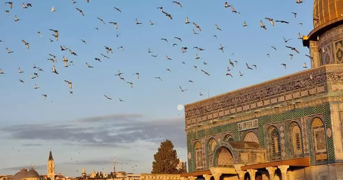 മസ്ജിദുൽ അഖ്സ പ്രദേശത്ത് തൽസ്ഥിതി തുടരണമെന്ന് യു.എൻ രക്ഷാസമിതി മസ്ജിദുൽ അഖ്സ പ്രദേശത്ത് തൽസ്ഥിതി തുടരണമെന്ന് യു.എൻ രക്ഷാസമിതി