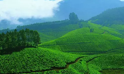 ഇടുക്കി ജില്ലയിലെ ഭൂപ്രശ്നങ്ങൾ: മുഖ്യമന്ത്രി നാളെ ഉന്നതതല യോഗം വിളിച്ചു ഇടുക്കി ജില്ലയിലെ ഭൂപ്രശ്നങ്ങൾ: മുഖ്യമന്ത്രി നാളെ ഉന്നതതല യോഗം വിളിച്ചു