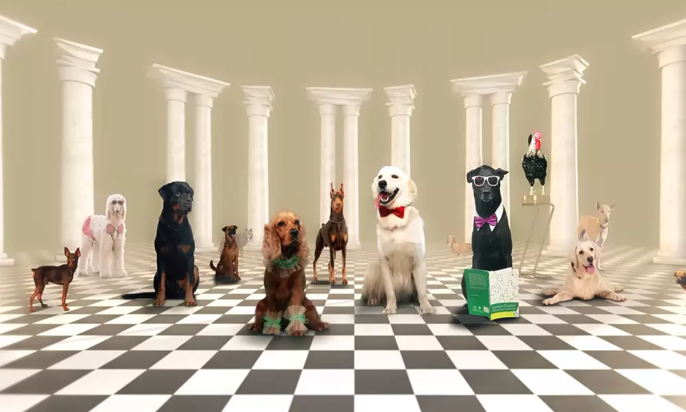 11 നായ്ക്കുട്ടികളും ഒരു പൂവൻകോഴിയും; ഫ്രൈഡേ ഫിലിം ഹൗസിന്‍റെ വാലാട്ടി, മോഷൻ പോസ്റ്റർ പുറത്തിറങ്ങി