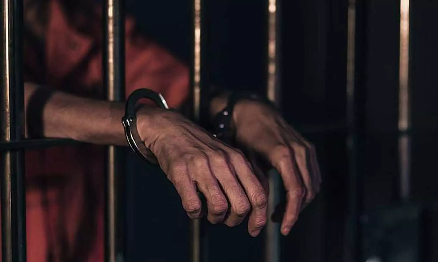 പീഡനക്കേസിൽ വിമുക്ത ഭടന് 66 വർഷം കഠിന തടവ്