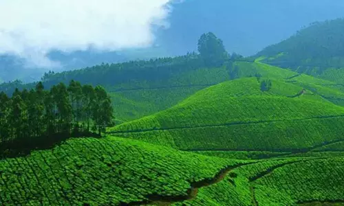 ഇടുക്കി ജില്ലയിലെ ഭൂമി പ്രശ്നങ്ങള് പരിഹരിക്കാൻ നിയമ ഭേദഗതി ഇടുക്കി ജില്ലയിലെ ഭൂമി പ്രശ്നങ്ങള് പരിഹരിക്കാൻ നിയമ ഭേദഗതി